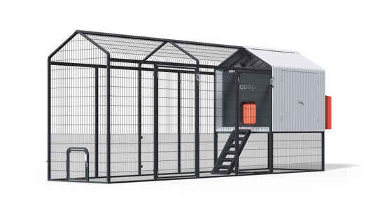 The Smart Coop + Extended Range Run (+ Free Chicks! 🐣) - Blessings Grow Meadows