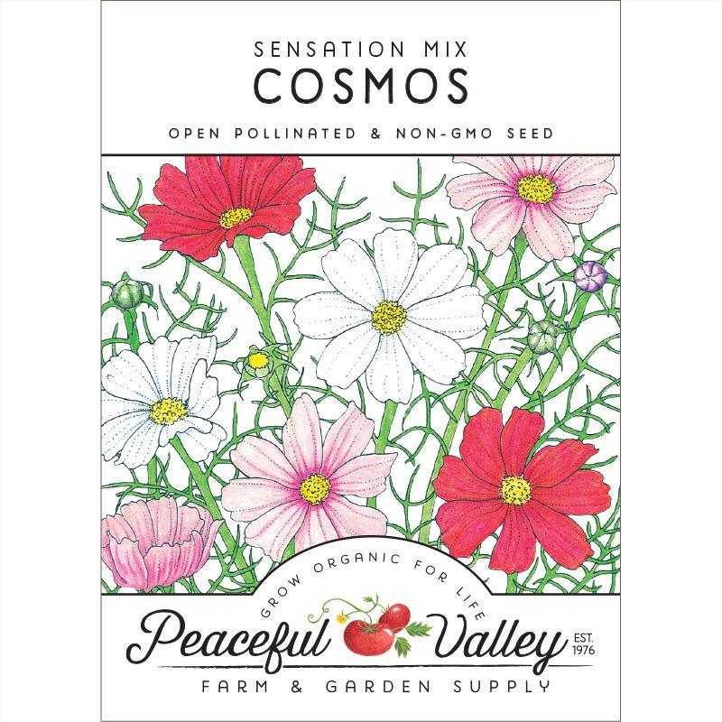 Assorted Cosmos Sensation Mix flower seeds in a pack, vibrant and colorful flower seed collection by Grow Organic.