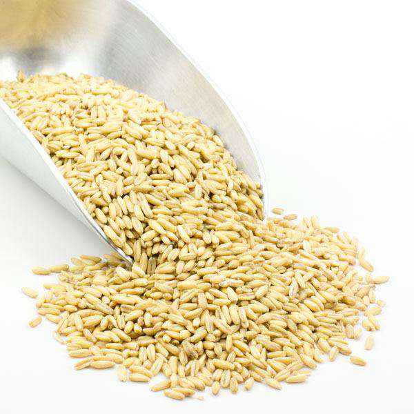 A metal scoop pours a pile of Country Life Natural Foods Oat Groats, Whole, Organic onto a white surface, showcasing these high fiber, whole grain oats in their pure, unprocessed form.