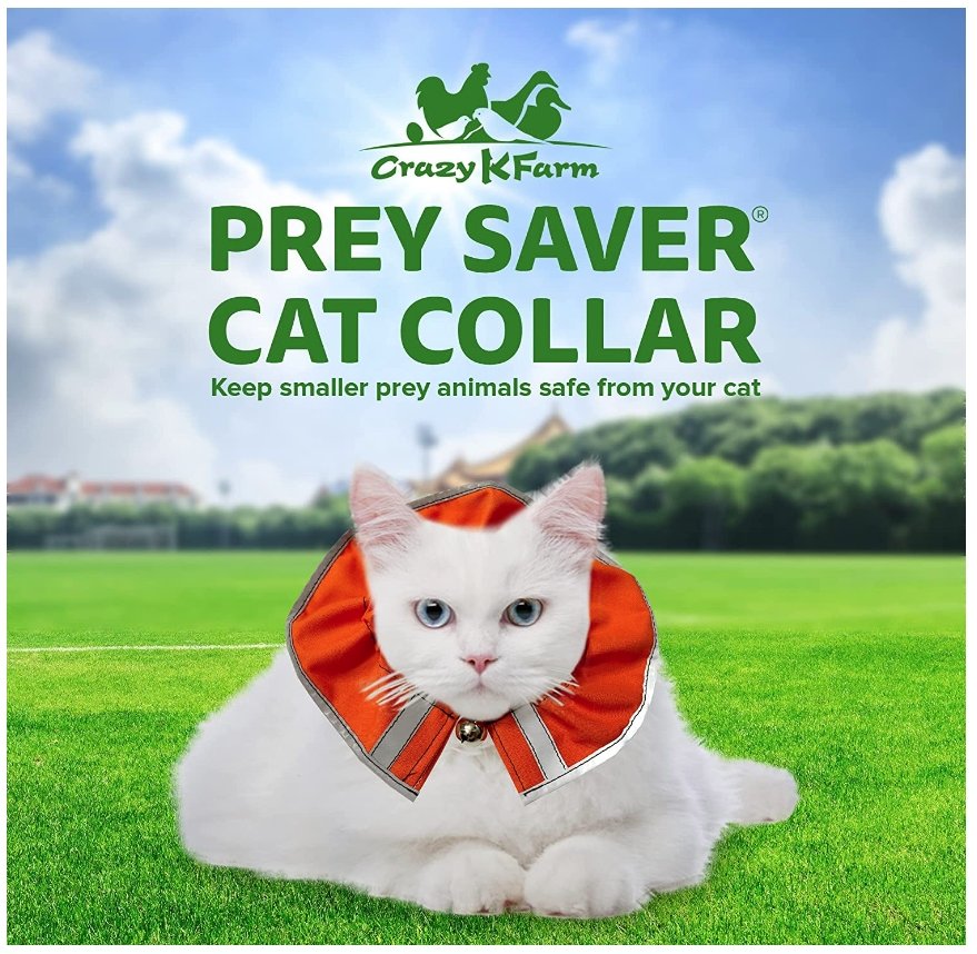 Red bandana Prey Saver breakaway cat collar by Crazy K Farm Pet and Poultry with safety buckle and adjustable fit.