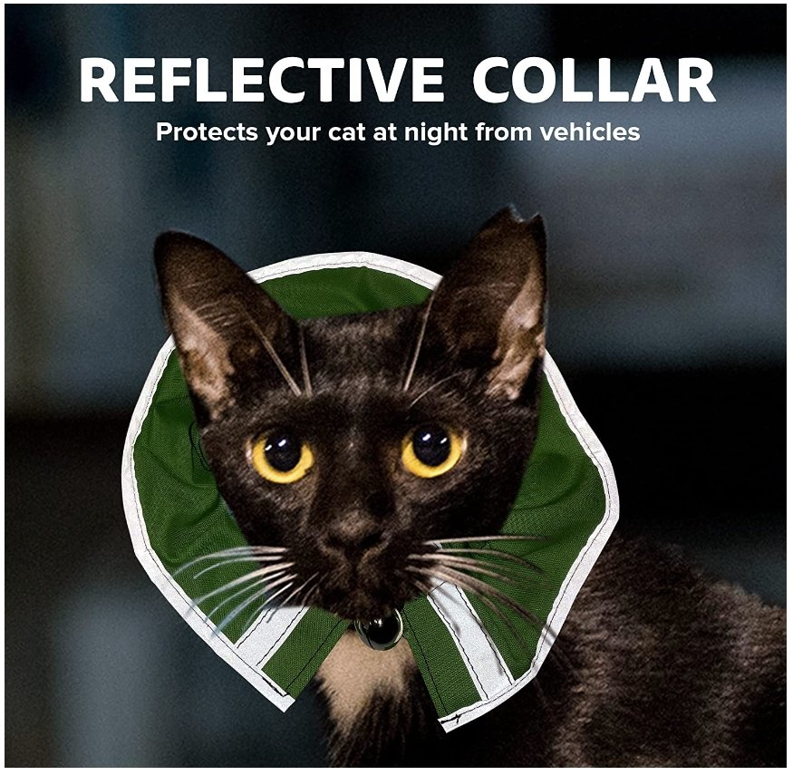 Red breakaway cat collar with bandana from Crazy K Farm Pet and Poultry, designed for safety and style for cats.