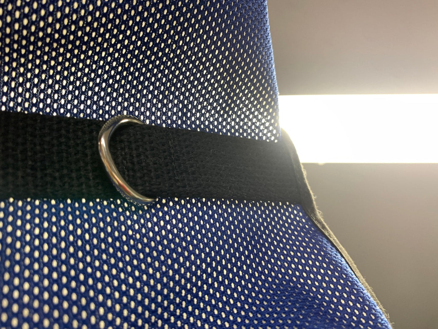 Royal blue Kitty Holster cat harness made of Koolnit mesh by Crazy K Farm, lightweight and breathable for small cats.