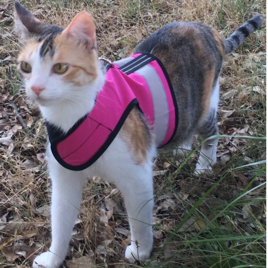 Sunshine yellow Kitty Holster cat harness by Crazy K Farm Pet and Poultry, made in the USA with reflective safety features.