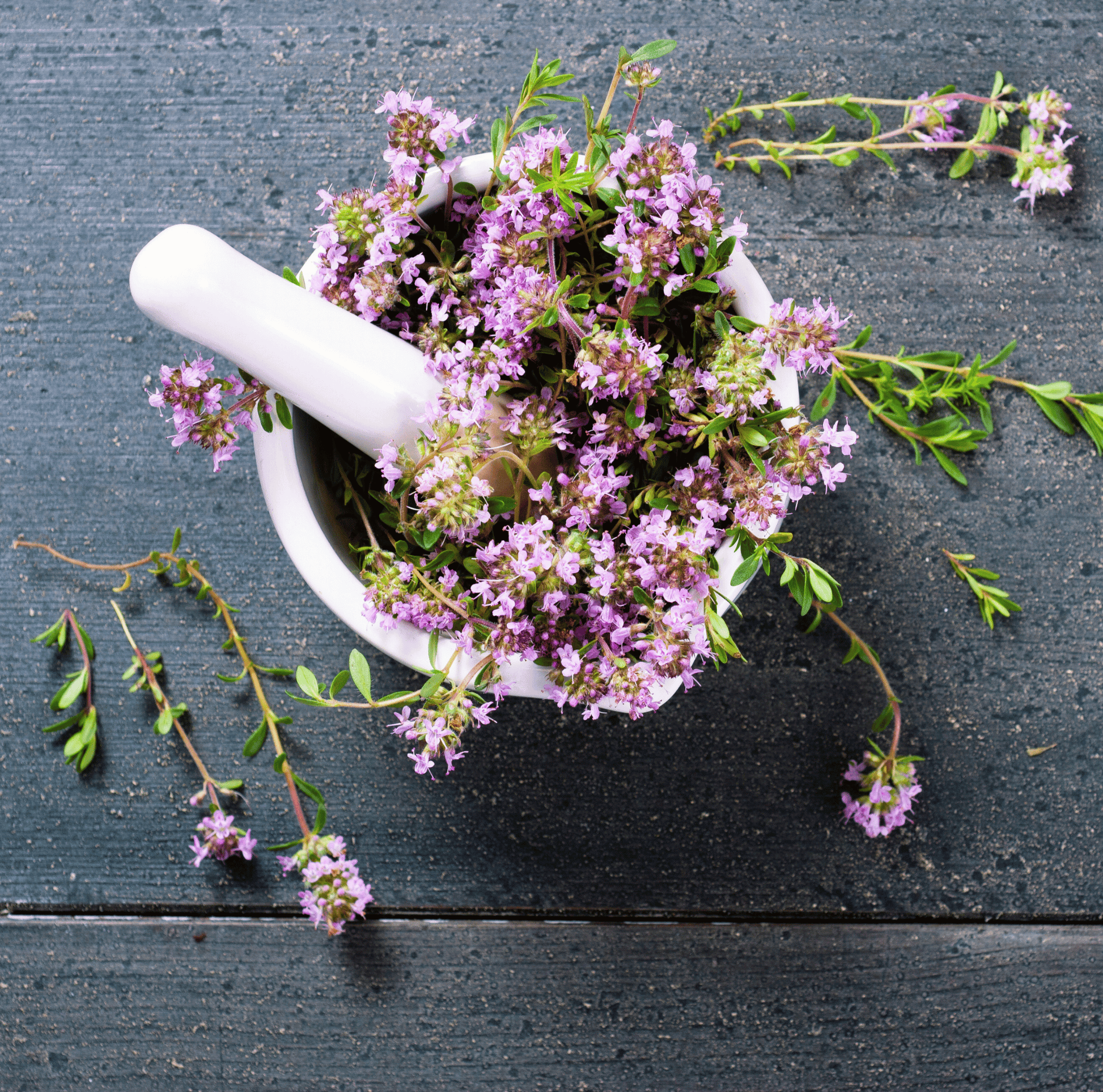 Packet of Creeping Thyme seeds from Southern Seeds, featuring 250 seeds for ground cover or garden planting.