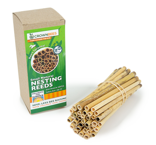 Summer Natural Reeds for Summer Leaf Bees - 6mm - Blessings Grow Meadows