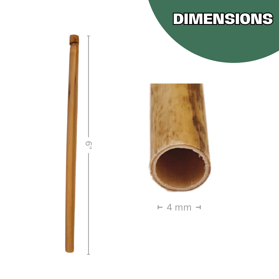 Summer Natural Reeds for Summer Leaf Bees - 6mm - Blessings Grow Meadows