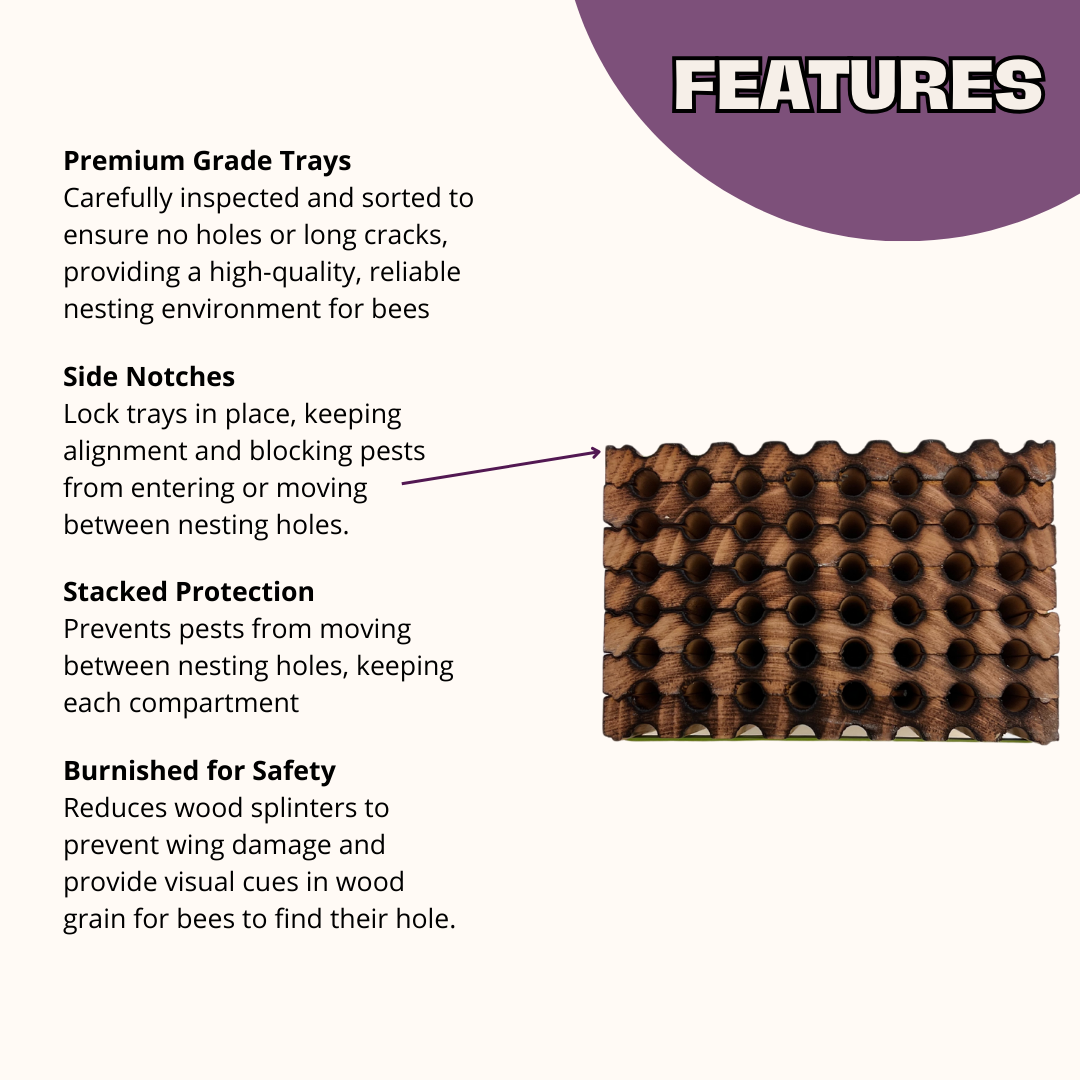 CrownBees spring reusable wood tray with 48 holes for mason bees, 8mm size, designed for nesting and hive management.
