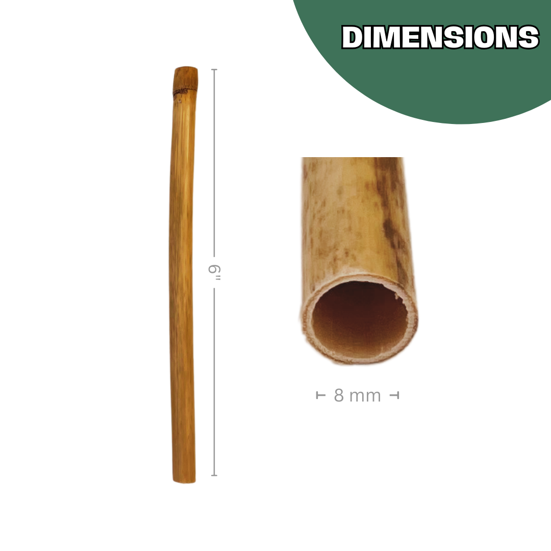 Spring natural reeds for mason bees, 8mm by CrownBees, shown in a close-up of the reed pack for bee nesting.