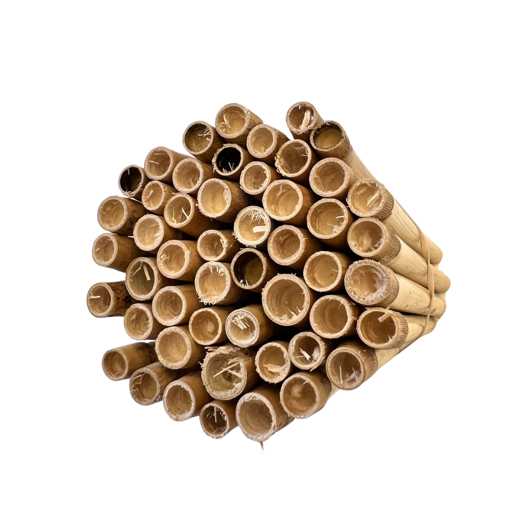 CrownBees Spring Natural Reeds for Mason Bees, 8mm diameter, 50-pack of wooden nesting tubes for mason bee habitat.