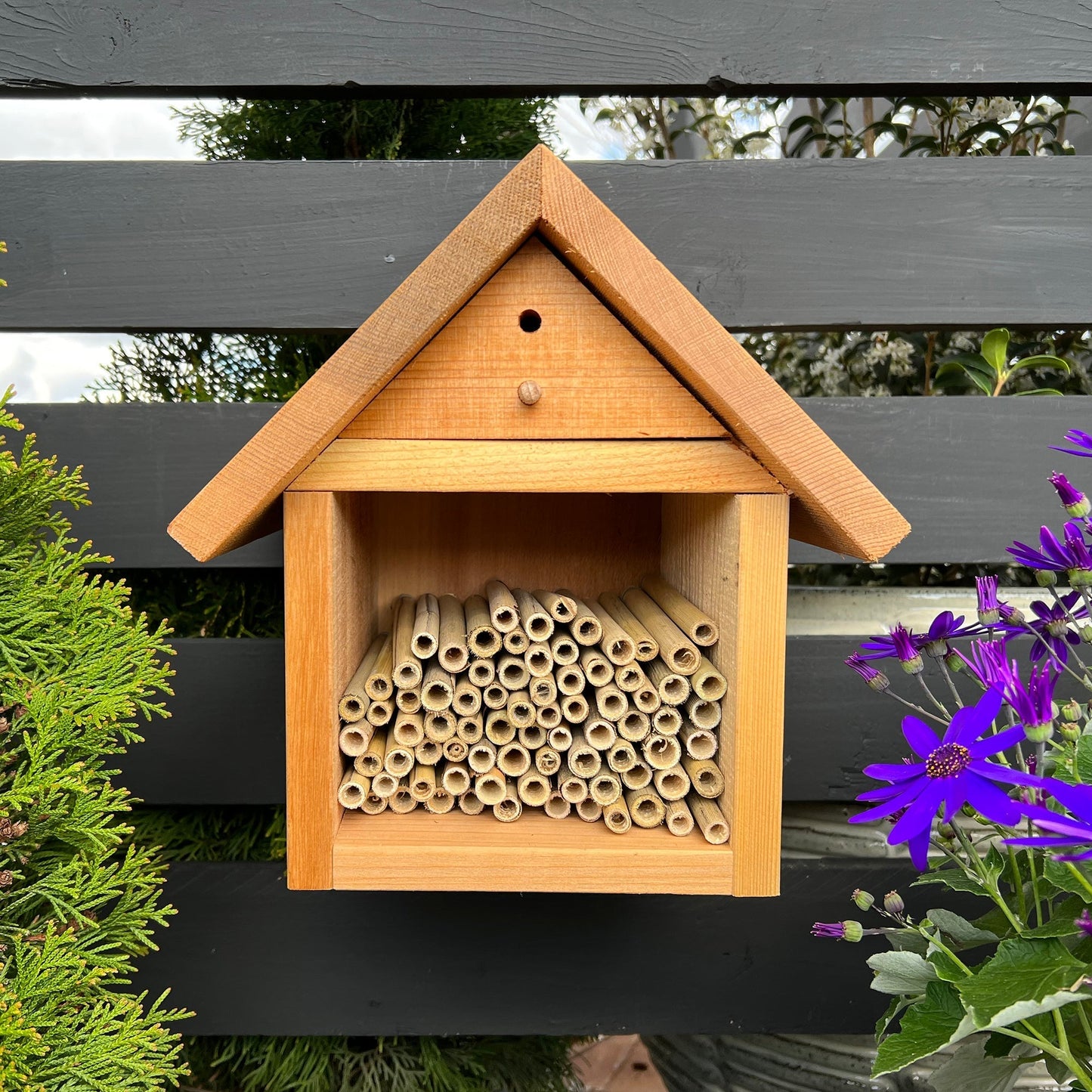 Natural spring mason bee reeds, 8mm diameter, by CrownBees, designed for nesting and attracting mason bees.