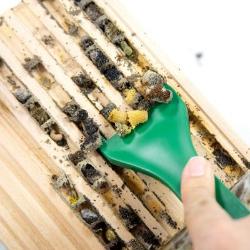 CrownBees Cocoon Harvesting Comb with wooden handle and metal teeth for efficient bee cocoon collection.