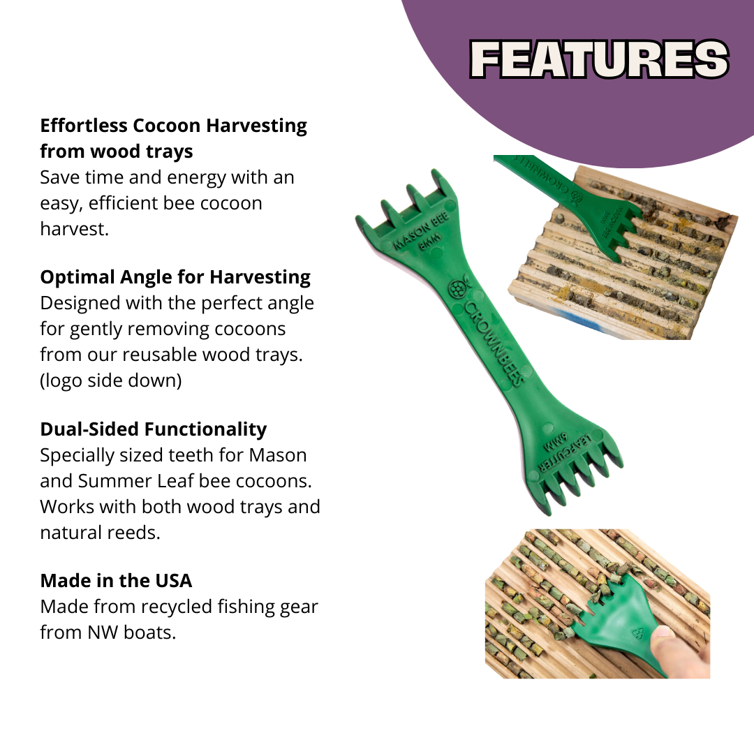 CrownBees Cocoon Harvesting Comb with wooden handle and metal prongs for harvesting bee cocoons in beekeeping.