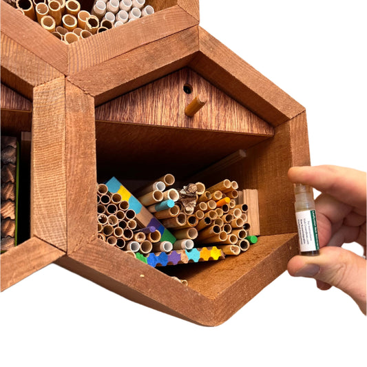 InvitaBee Summer Leaf Bee Attractant - Blessings Grow Meadows