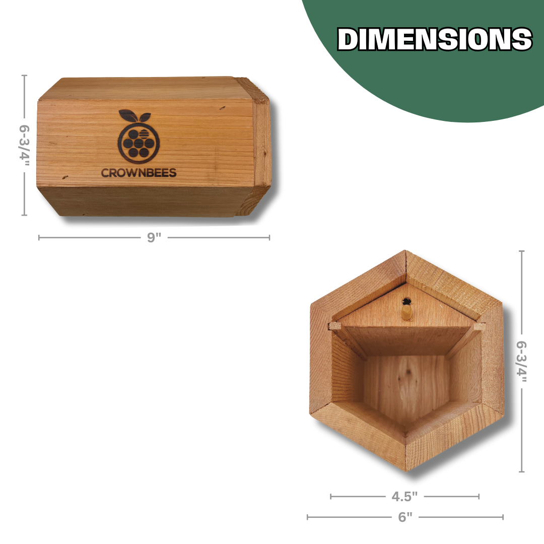 Cabana Bee House & Complete Kit with Bee Certificate - Blessings Grow Meadows