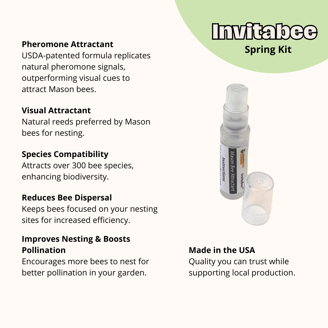 Cabana Bee House & Complete Kit with Bee Certificate - Blessings Grow Meadows