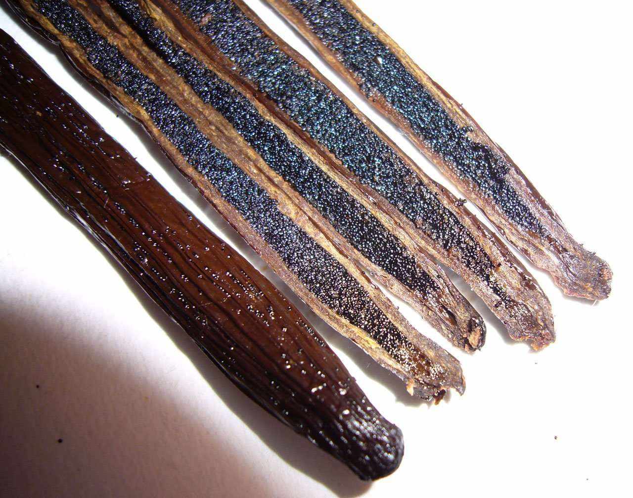 Homemade vanilla extract kit featuring organic Madagascar vanilla beans from Vanilla Bean Kings, with cut vanilla beans in a jar.