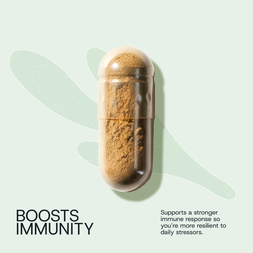 Winnow Daily Probiotic Refill Packs with biodegradable sachets for gut health and digestive support.