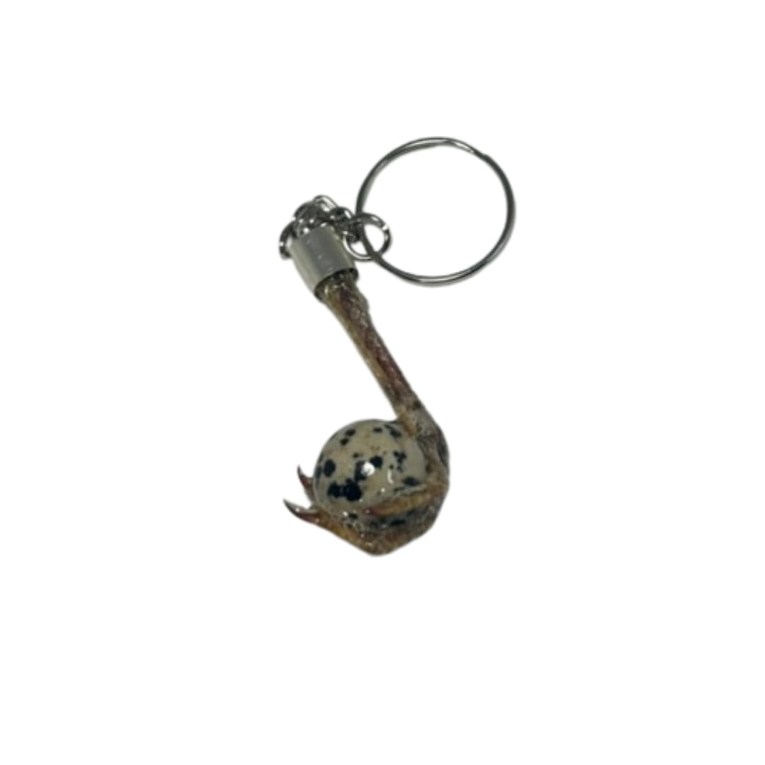 Silver quail feet necklace with chain, featuring detailed bird foot charms, by Quailz.com by Undique LLC.
