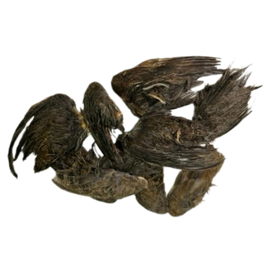 Small Quail Wings for dog training, pet treat by Quailz.com, showing 10 natural quail wings on a white background.