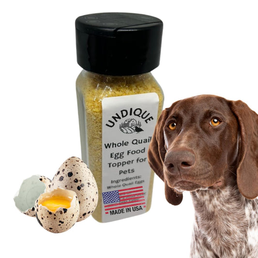 Quailicious Boost pet food enhancer with whole quail eggs for dogs, promoting energy, immune health, shiny coat, and skin.