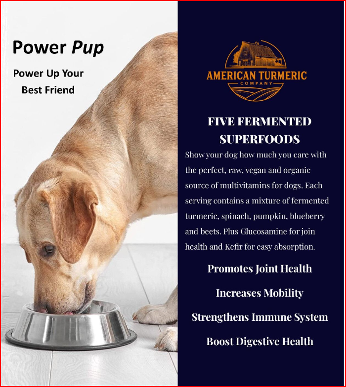 Power Pup Fermented Superfood Turmeric Powder for Pets - Blessings Grow Meadows