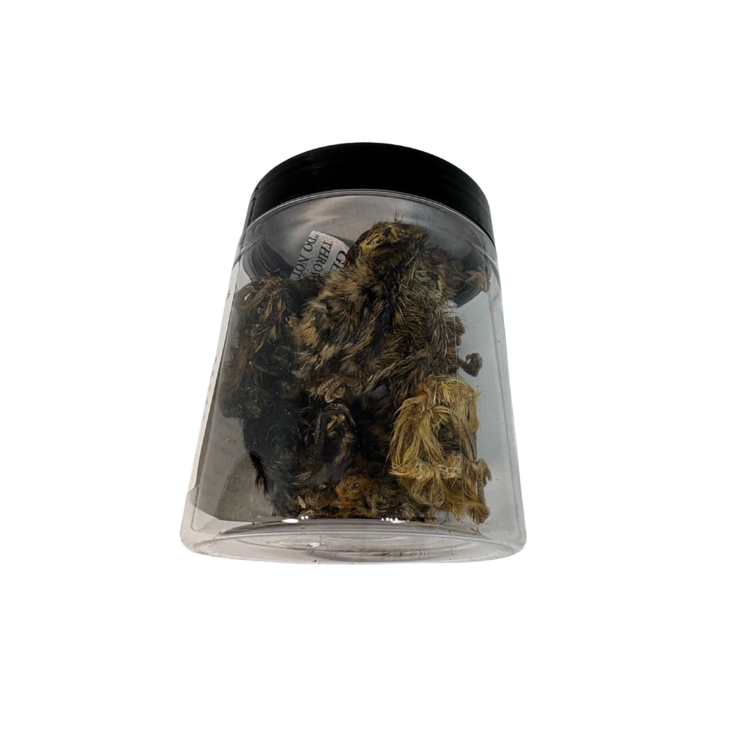 Dehydrated quail whole chick treats for cats and dogs, 10-piece pack, small premium natural pet treats by Quailz.com.