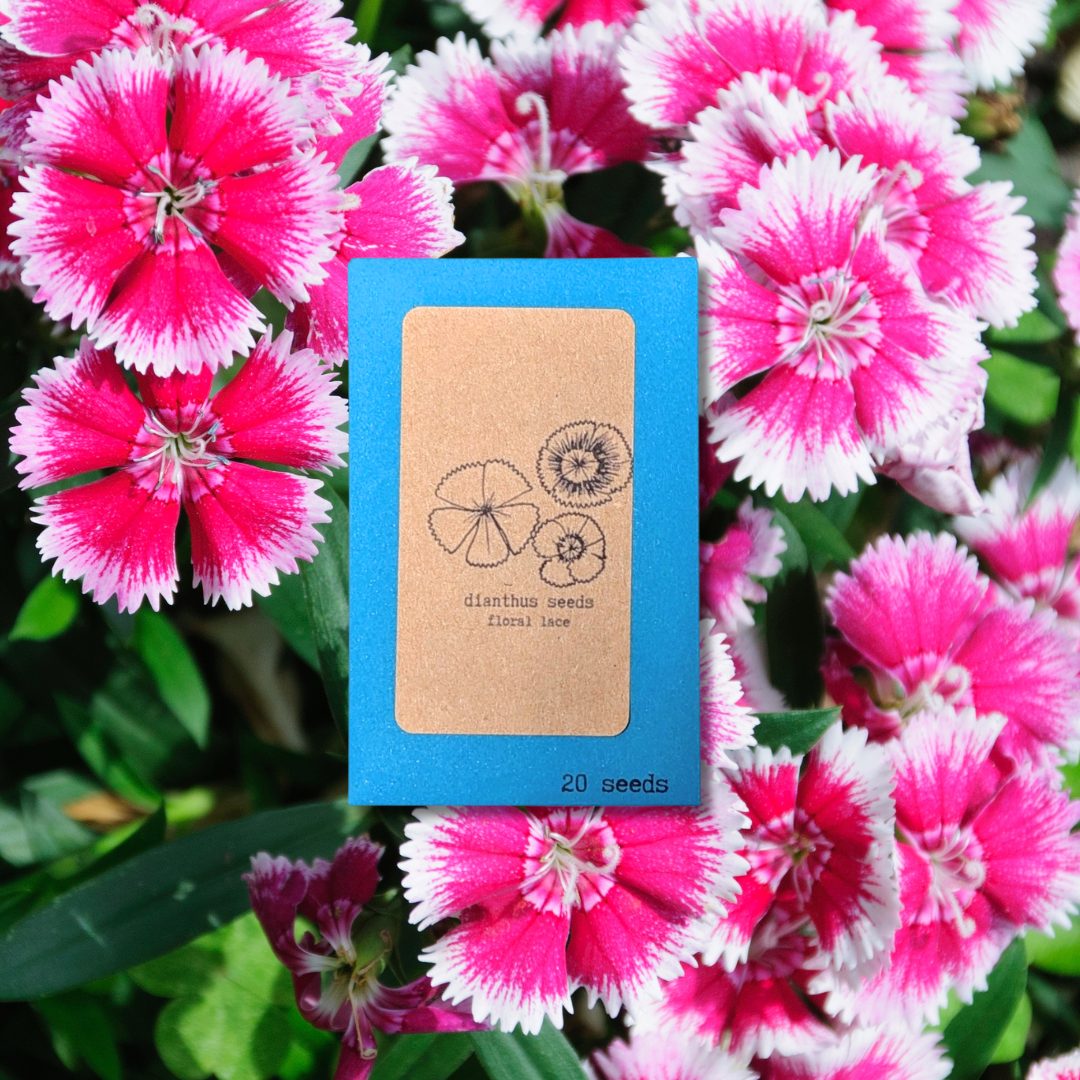 Close-up of Dianthus flower seeds from Plantflix, showing small, dark seed packets with colorful floral illustrations.