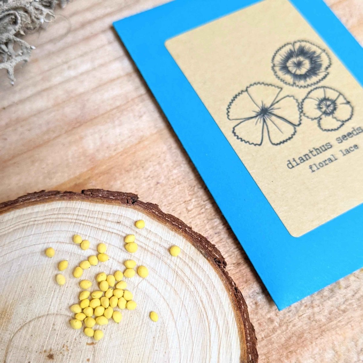 Close-up of Dianthus flower seeds from Plantflix, showing small seed packets for planting Dianthus flowers.