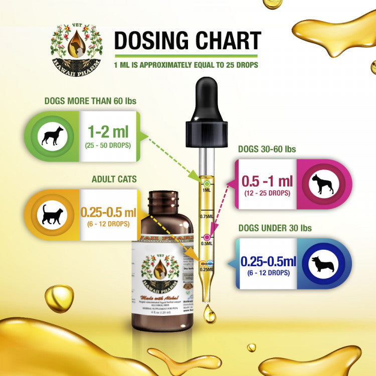 JOINT HEALTH / Joint Support Remedy - Blessings Grow Meadows