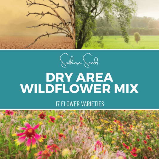 Dry area wildflower seed mix by Southern Seeds with 18 flower varieties and 1,000 seeds for drought-tolerant gardens.