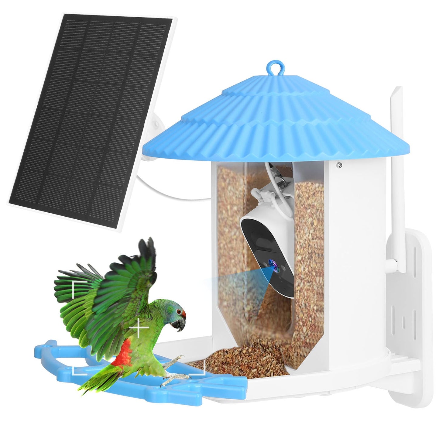 Solar Powered Smart Bird Feeder 2K Bird Watching Camera With PIR Motion AI Birds Species Identify Two-Way Audio Real-Time App Notification Capture Video Gift For Bird Lover - Blessings Grow Meadows