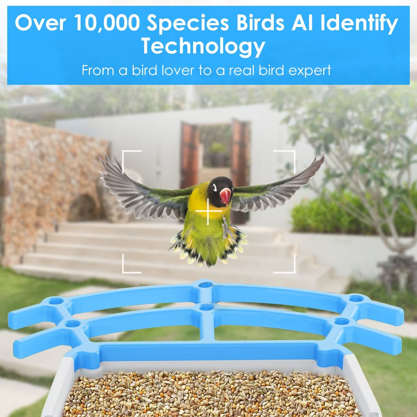 Solar Powered Smart Bird Feeder 2K Bird Watching Camera With PIR Motion AI Birds Species Identify Two-Way Audio Real-Time App Notification Capture Video Gift For Bird Lover - Blessings Grow Meadows