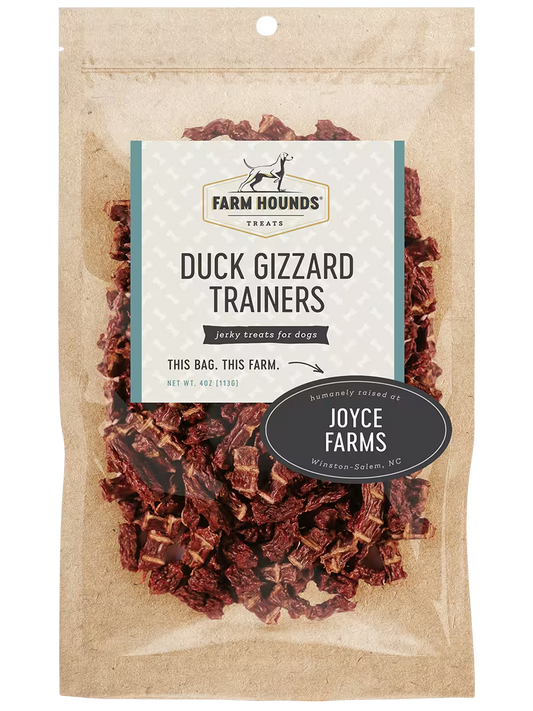 Farm Hounds Duck Gizzard Trainers, casual trainers with duck gizzard design, showing the front view of the footwear.