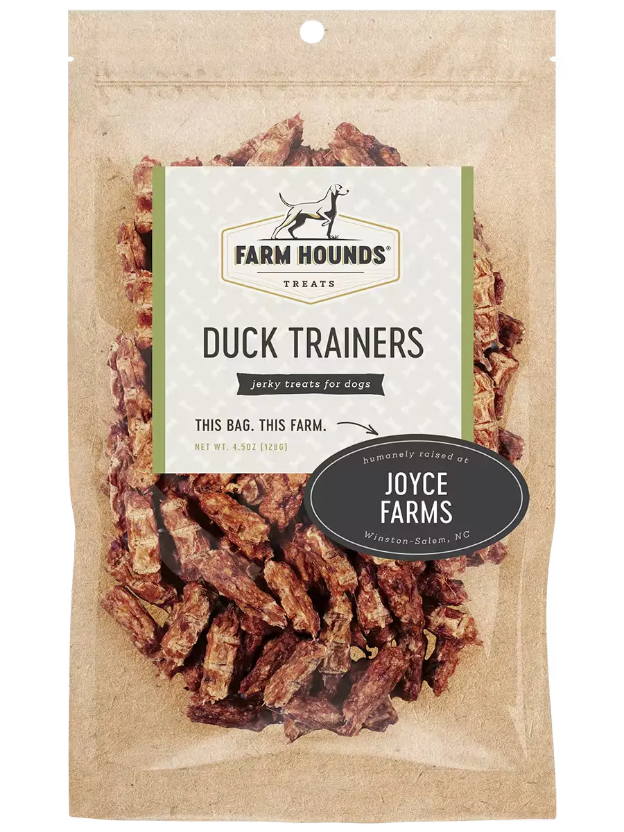 Farm Hounds Duck Trainers, stylish casual trainers with duck design, front view showing comfortable fit and detailed craftsmanship.