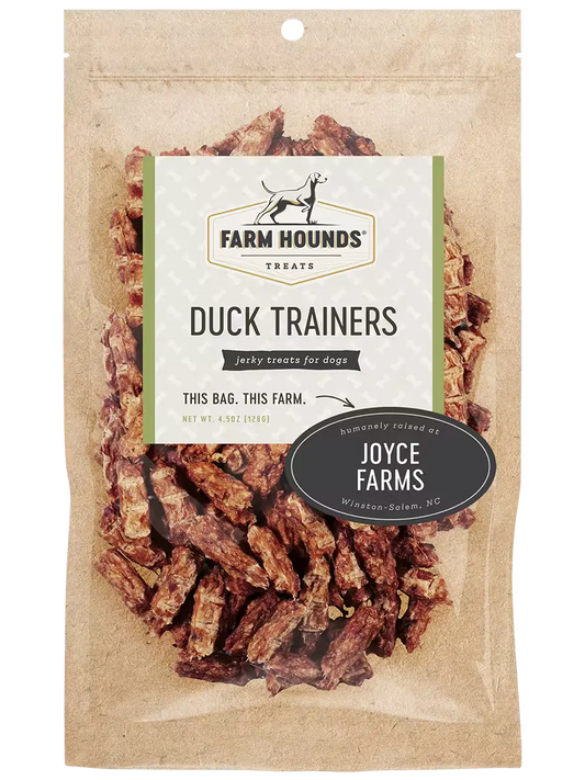 Farm Hounds Duck Trainers, stylish casual trainers with duck design, front view showing comfortable fit and detailed craftsmanship.