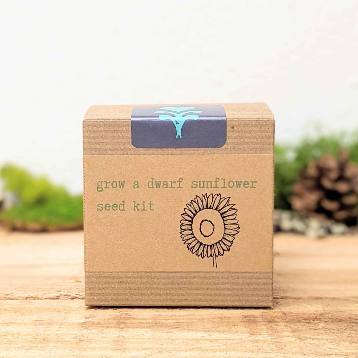Dwarf Sunflower beginner grow kit by Plantflix with flower seed packets and planting supplies for home gardening.