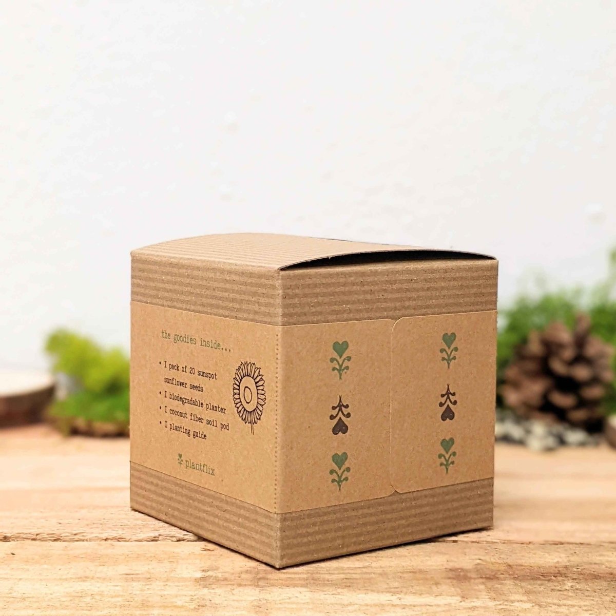 Dwarf sunflower beginner grow kit with flower seeds, includes planting containers and detailed instructions for easy gardening.
