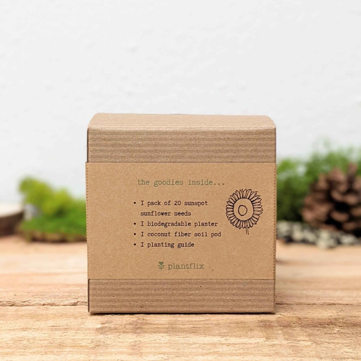 Dwarf Sunflower Beginner Grow Kit with flower seeds from Plantflix, includes small sunflower seedlings and gardening tools.