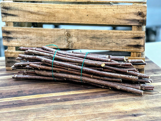 Wyldewood Elderberry