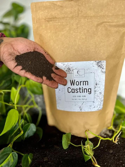 Worm Castings - Blessings Grow Meadows