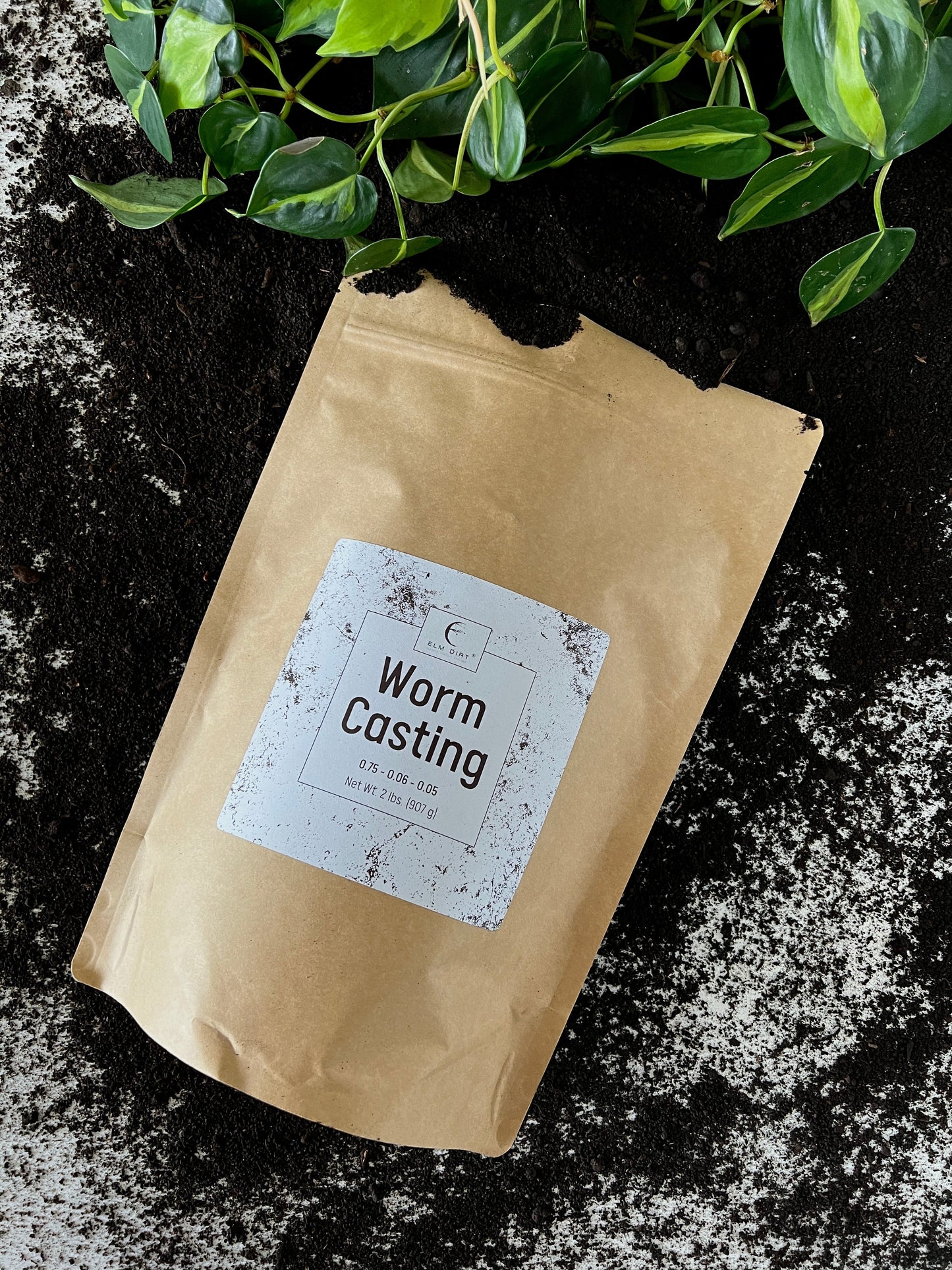 Worm Castings - Blessings Grow Meadows