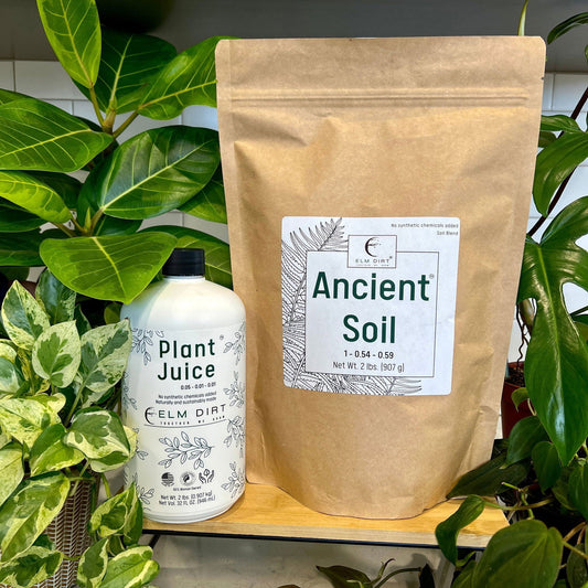 The Grow Power Bundle by Elm Dirt is displayed among green potted plants on a shelf—ideal for any devoted houseplant enthusiast.