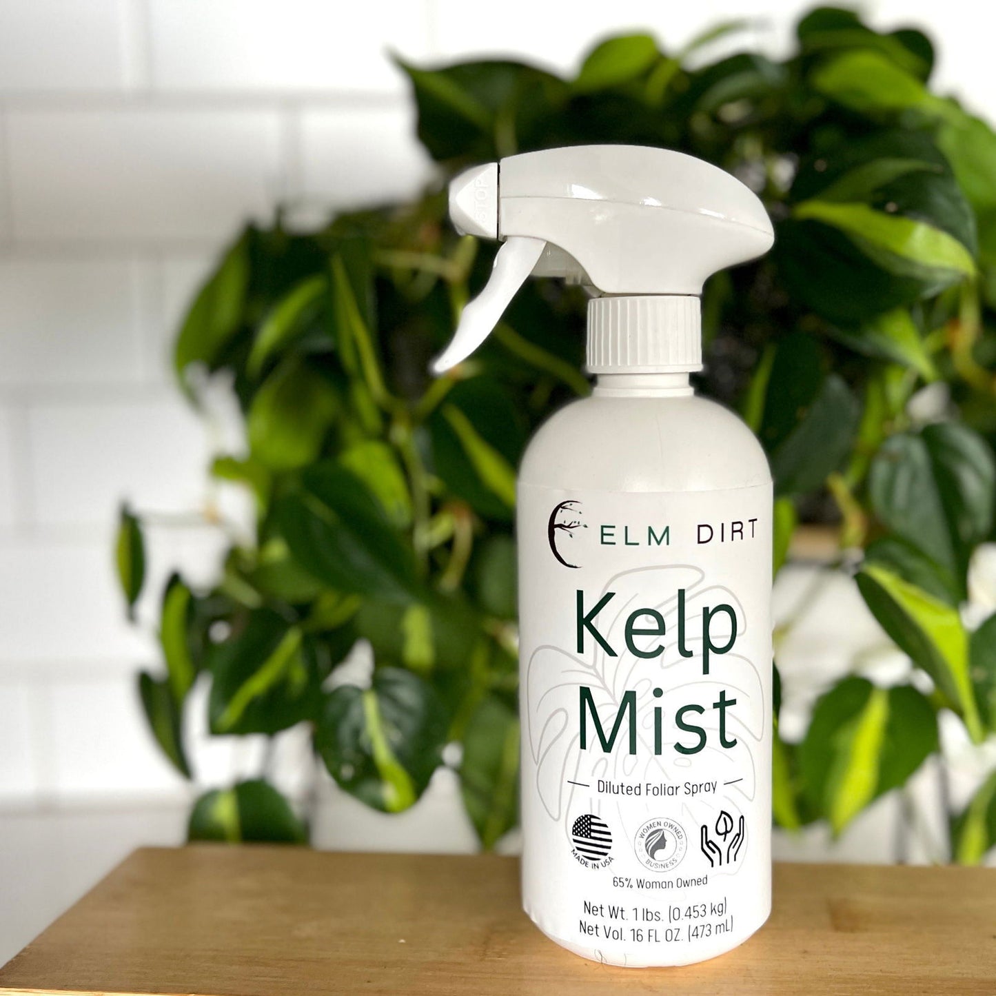 A white spray bottle of Kelp Mist by Elm Dirt, an eco-friendly plant nutrient, rests on a wooden surface with green leafy plants and a blurred white tiled wall in the background.