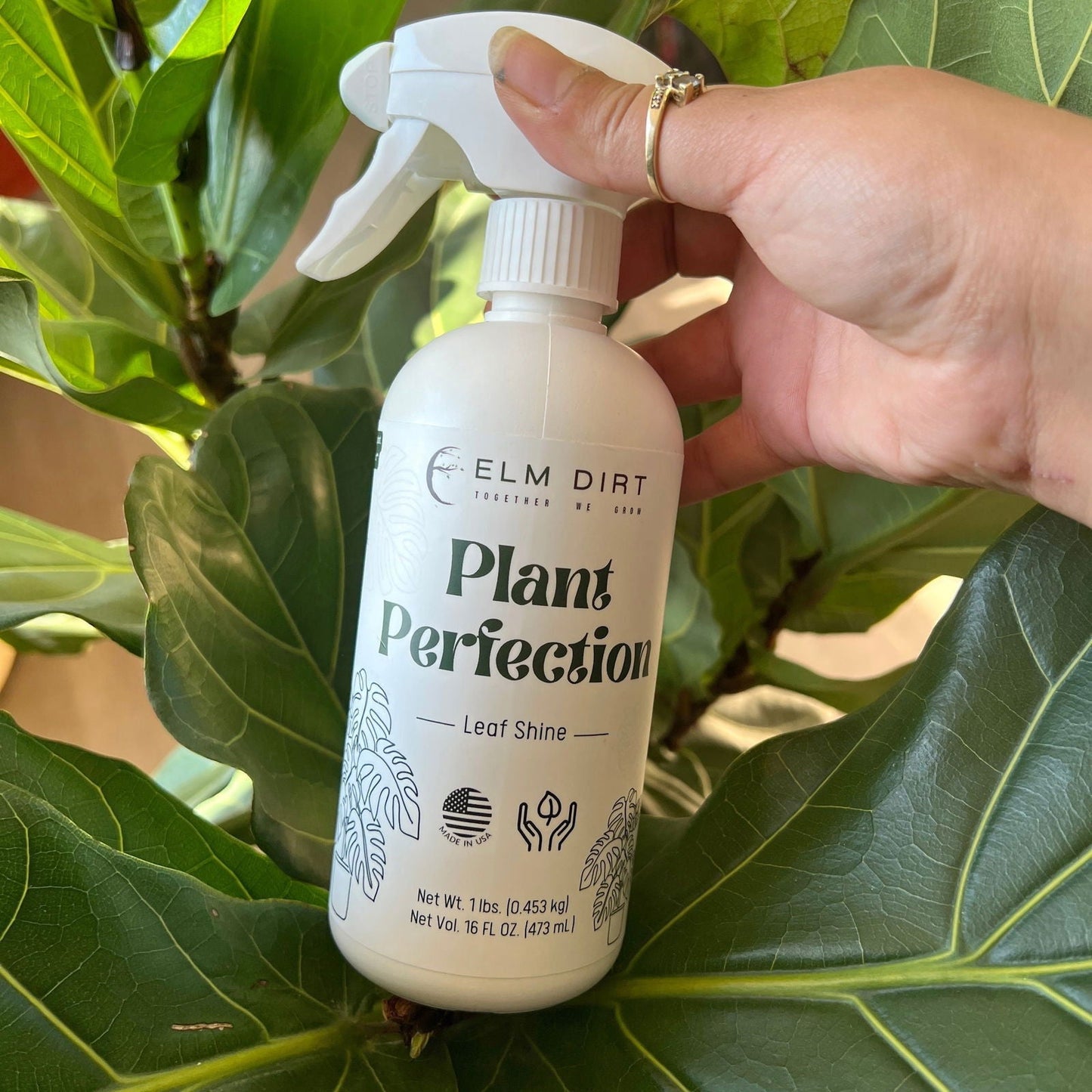 Elm Dirt Plant Perfection fertilizer in a 16 oz container, designed to promote healthy plant growth and vibrant foliage.