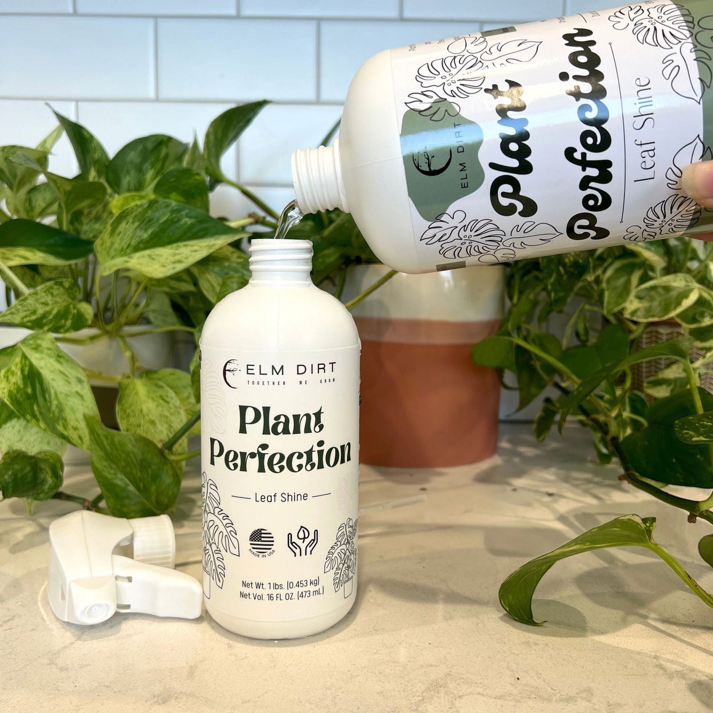 Elm Dirt Plant Perfection fertilizer in a 16 oz container, designed to promote healthy plant growth and vibrant foliage.