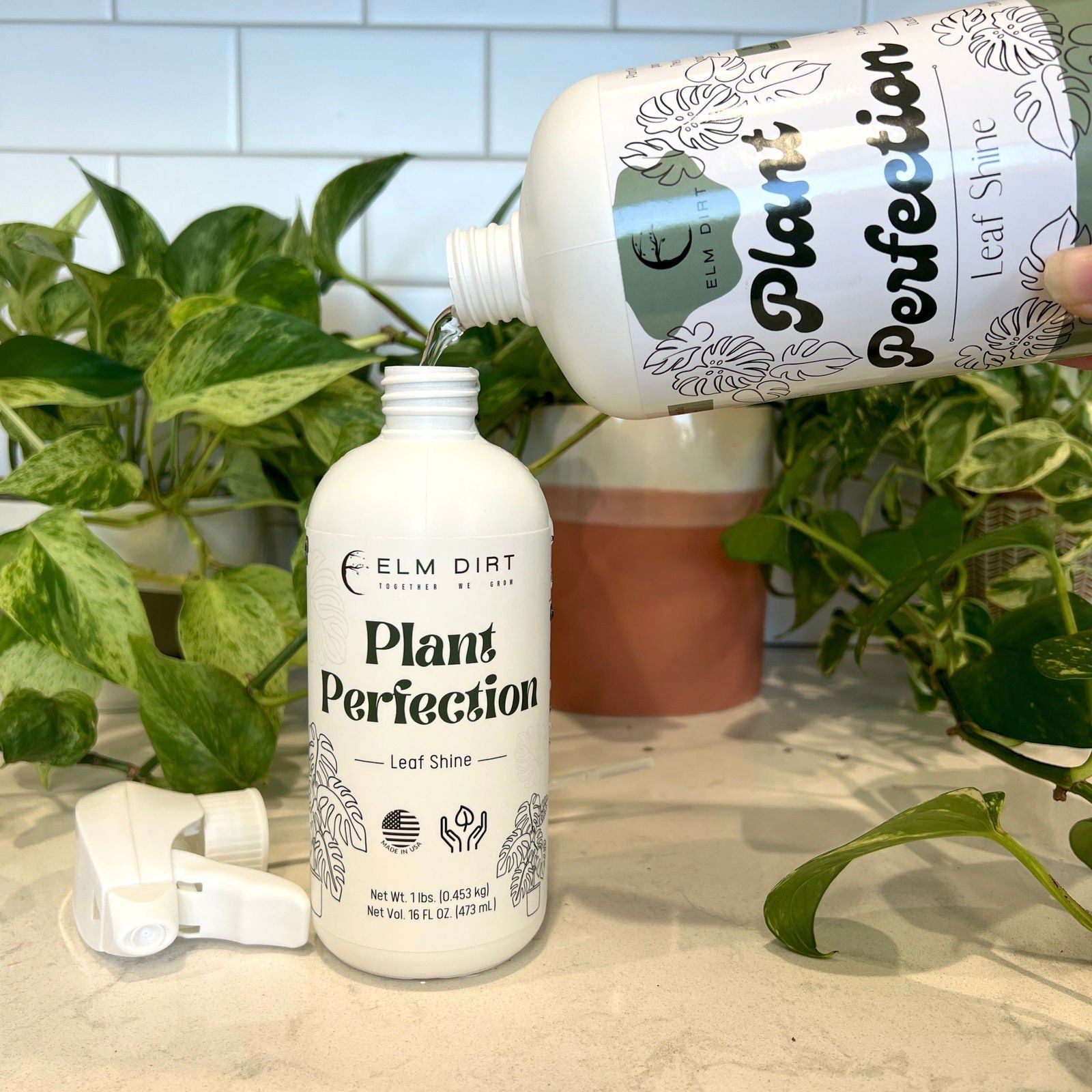 Elm Dirt Plant Perfection fertilizer in a 16 oz container, designed to promote healthy plant growth and vibrant foliage.
