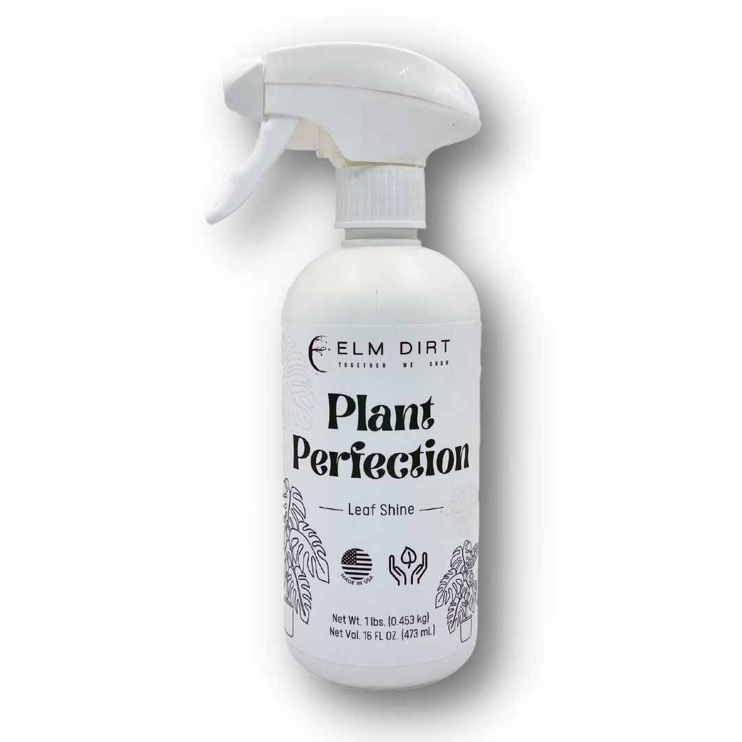 Elm Dirt Plant Perfection fertilizer in 16 oz container, ideal for healthy plant growth and vibrant foliage.
