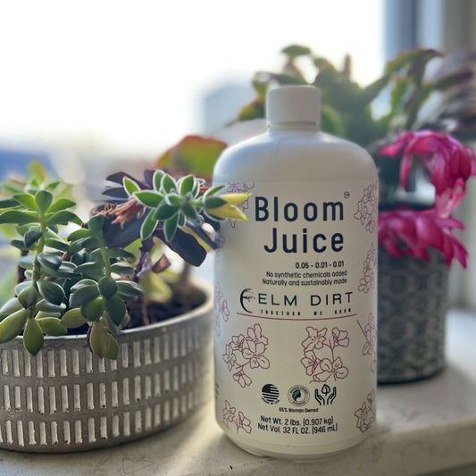A bottle of Bloom Juice by Elm Dirt, enriched with worm castings, sits between two potted flowering plants with green and pink leaves. The white bottle features floral artwork and text, glowing in sunlight from the background.