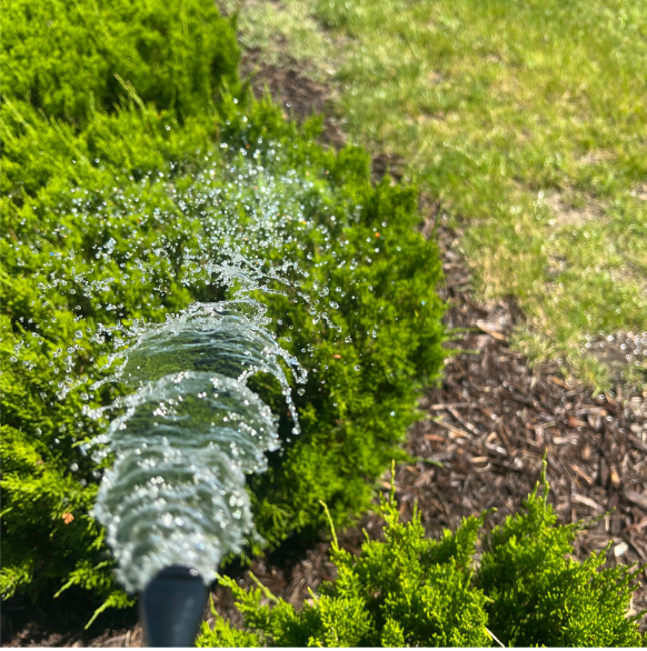 Close-up of water spraying from a garden hose in a spiral, nourishing blooming plants with Bloom Juice by Elm Dirt—ideal for lush green bushes and grass on a sunny day.
