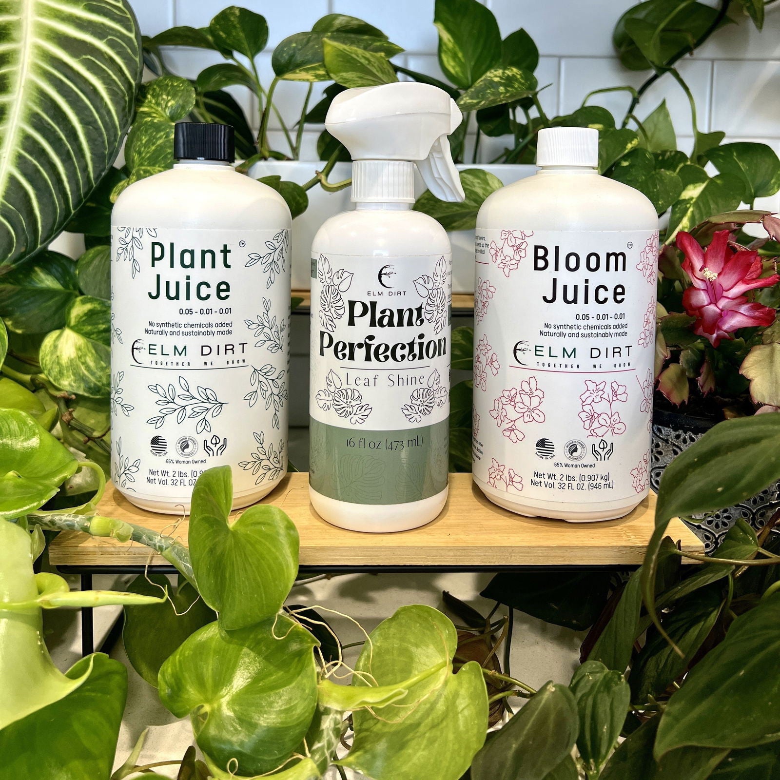 The Plant Care Kit by Elm Dirt is displayed among green houseplants on a wooden shelf, creating the perfect set for blooming plants.